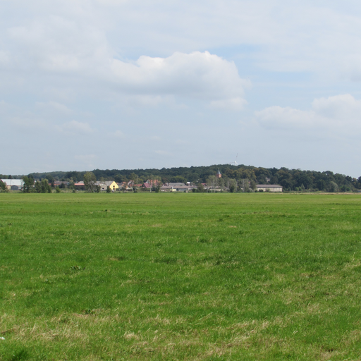 Rogäsen (Rosenau)