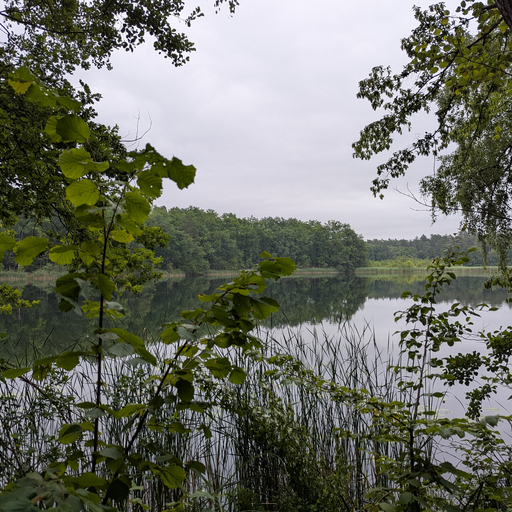 Kleiner Däber-See