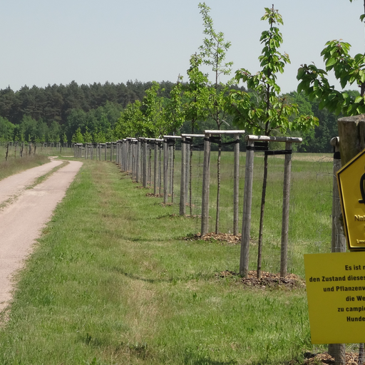 Nuthe-Nieplitz-Niederung