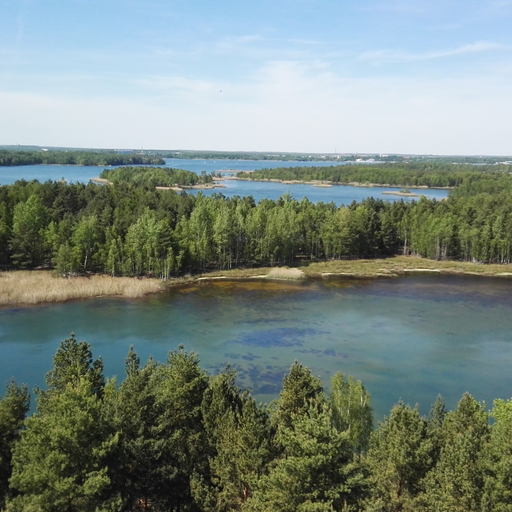Insel im Senftenberger See