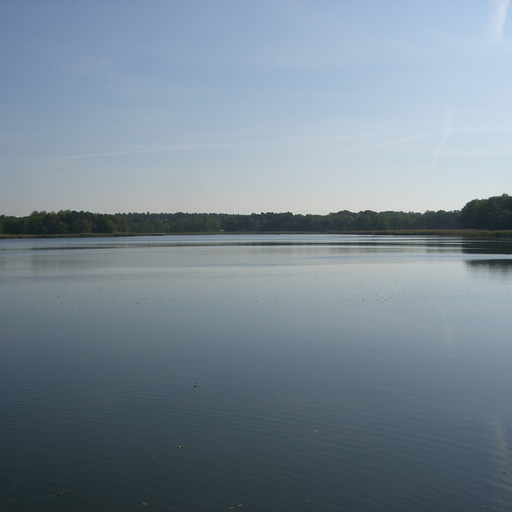 Körbaer Teich und Lebusaer Waldgebiet