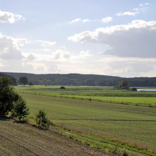Landschaftsschutzgebiet Westhavelland