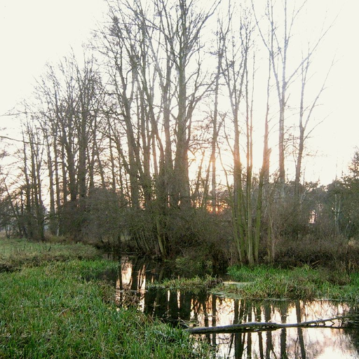 Baruther Buschgraben
