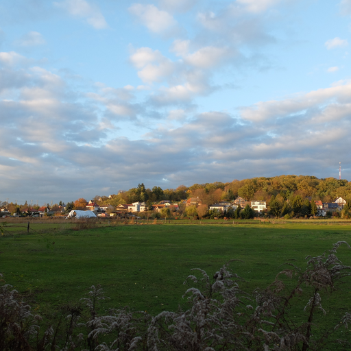 Mittelbrandenburgische Platten und Niederungen