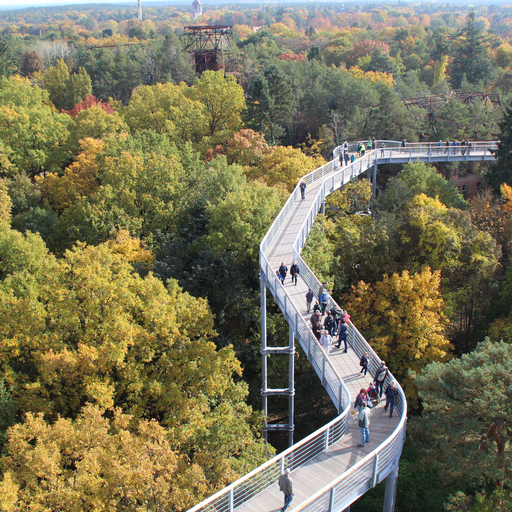 Stezka korunami stromů Bellitz