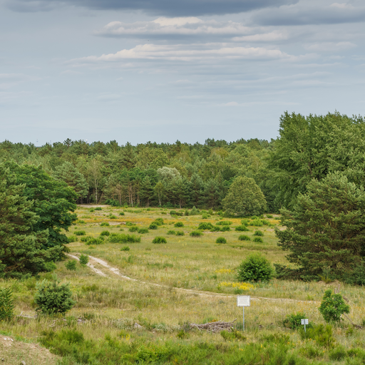 Döberitzer Heide