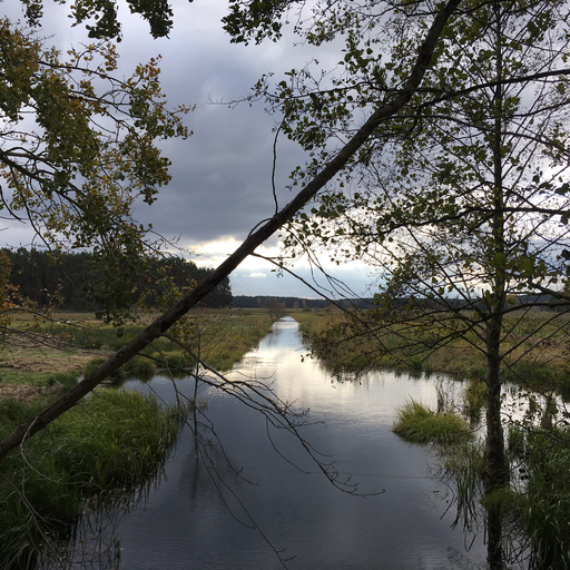 Pfeffergraben (Grenzgraben)