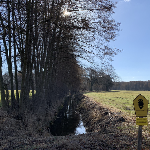 Schafgraben (Königsgraben Tremsdorf)
