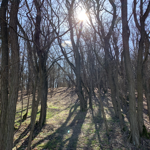 Mühlenberg (Stangenhagen)