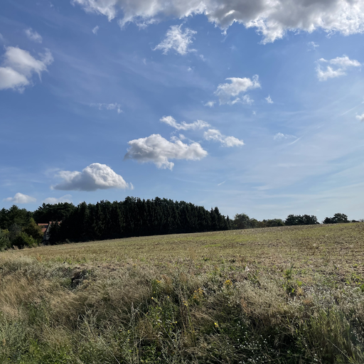 Finkenberg (Berg bei Trebbin)