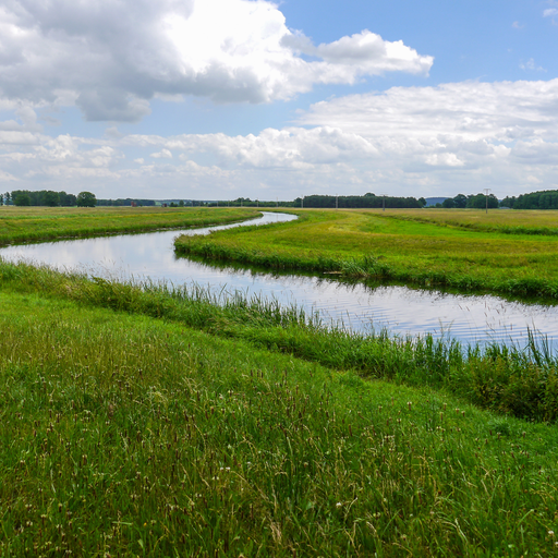 Naturpark Westhavelland