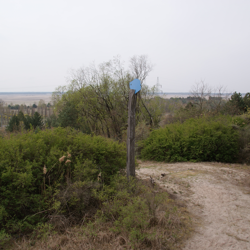 Bärenbrücker Höhe