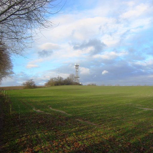 Gipsberg (Sperenberg)