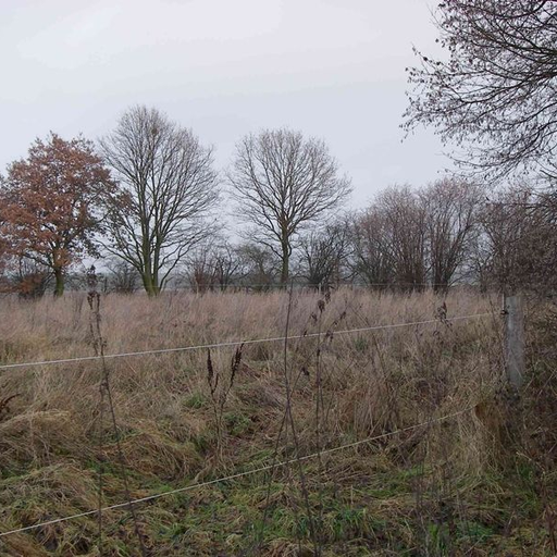 Burgwall Tietzow