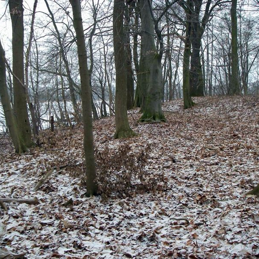 Burgwall Treskow