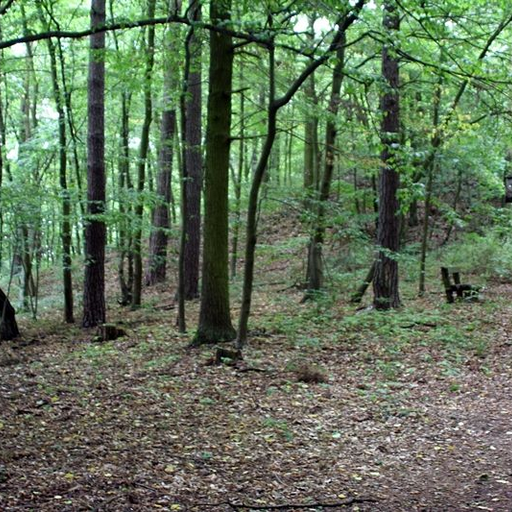 Burgwall Waldsieversdorf
