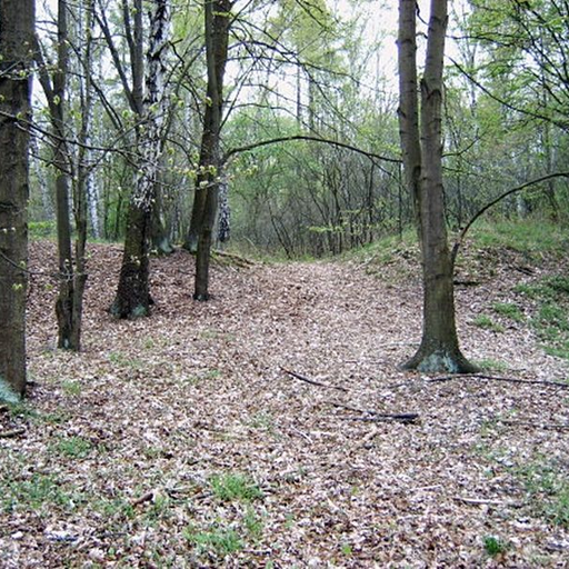 Burgwall Bärwalde