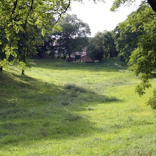Burgwall Drense