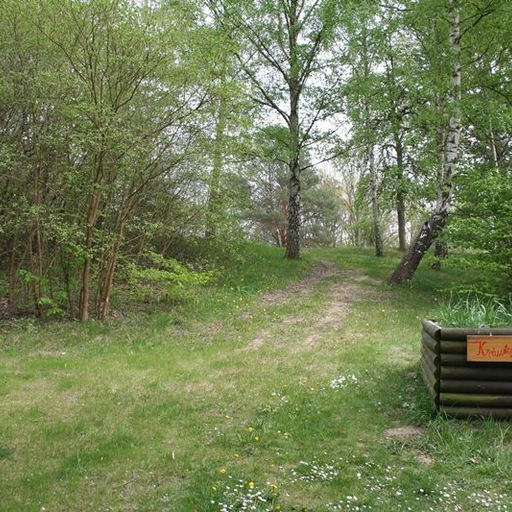 Burgwall Lychen