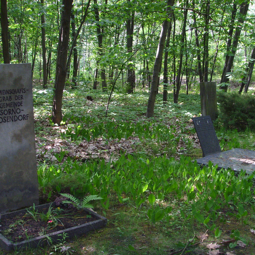 Waldfriedhof Senftenberg