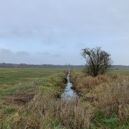 Verlängerter Freiheitsgraben