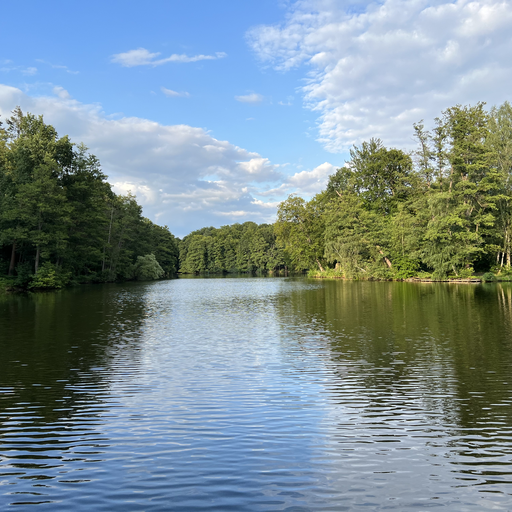 Mühlenteich