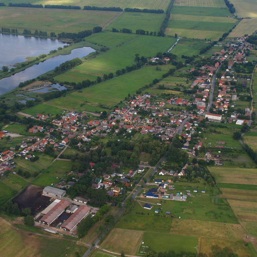 Linum