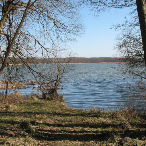 Bützsee