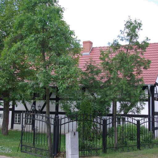 Kossenblatt