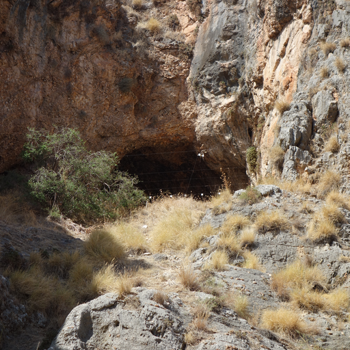 Amud cave