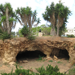 Charles_Netter's_Cave_in_Mikveh_Israel.JPG