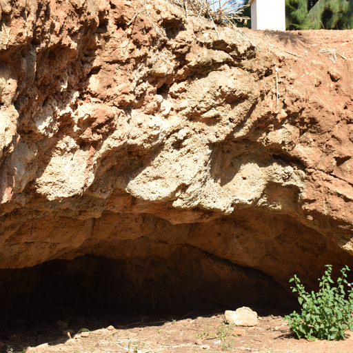Netter Cave