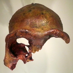 IMJ_view_20130115_192522.jpg