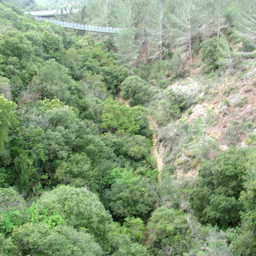 Nesher,_Park_Nesher,_Wadi_Katia_077.JPG