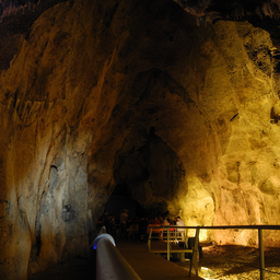 El-Wad_Cave,_Nahal_Me'arot,_Israel_-_2019-12-21_-_DSCN6888.jpg