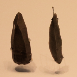 Flint_Stone_Points,_Late_Stone_Age,_Boqer_Tahtit_and_el-Wad_Cave,_50000-28000_BP.jpg