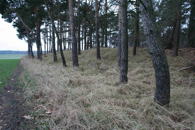 Burgwall_Klessener_Zootzen.jpg