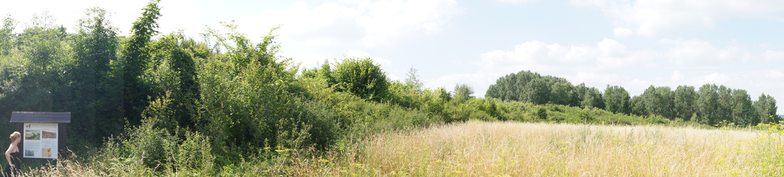 Burgwall_Lossow_03936.JPG
