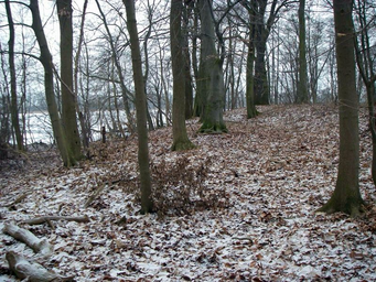 Treskow2.jpg
