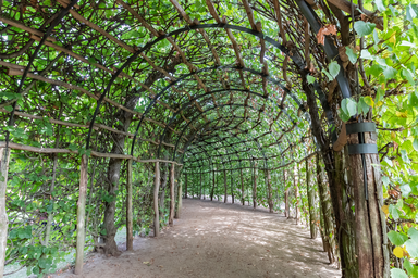 2020-09-23_Potsdam_1DX_1683_by_Stepro.jpg