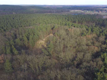 Teufelsberg_Landin.jpg