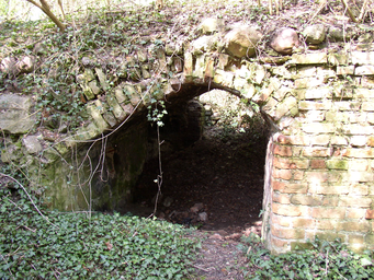 Burg_Zolchow_10.JPG