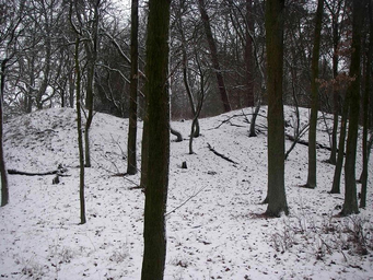 Liebenberg1.jpg