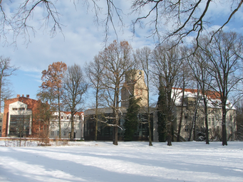 Schlossinsel_Bad_Liebenwerda_von_Süd.JPG