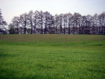 Naugarten01.jpg