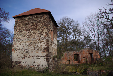 Niederer_Fläming_Bärwalde_Burgruine.jpg