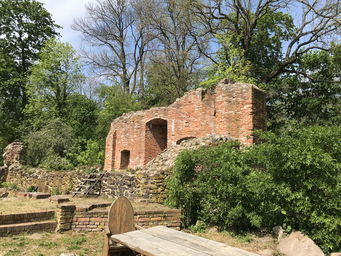 Niederer_Fläming_Bärwalde_Ruine_01.jpg