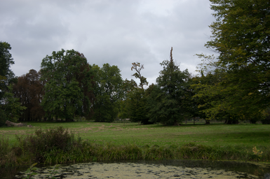 Park_Gutsanlage_Criewen_Schwedt_Oder_04.jpg