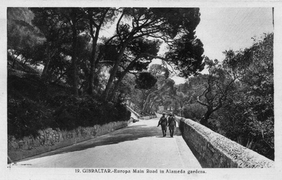 Europa_Main_Road,_Alameda_Gardens.jpg