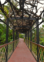 Gibraltar_Botanic_Gardens_kz02.jpg